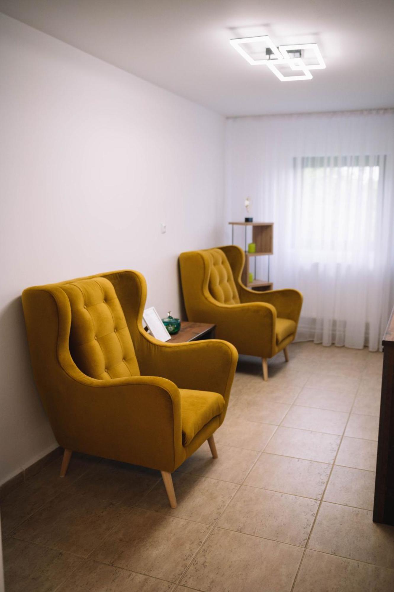 Вілла Casa Vatra Sinteului - Cu Sala De Evenimente De Capacitate Mare - Se Inchiriaza Integral Socet Екстер'єр фото