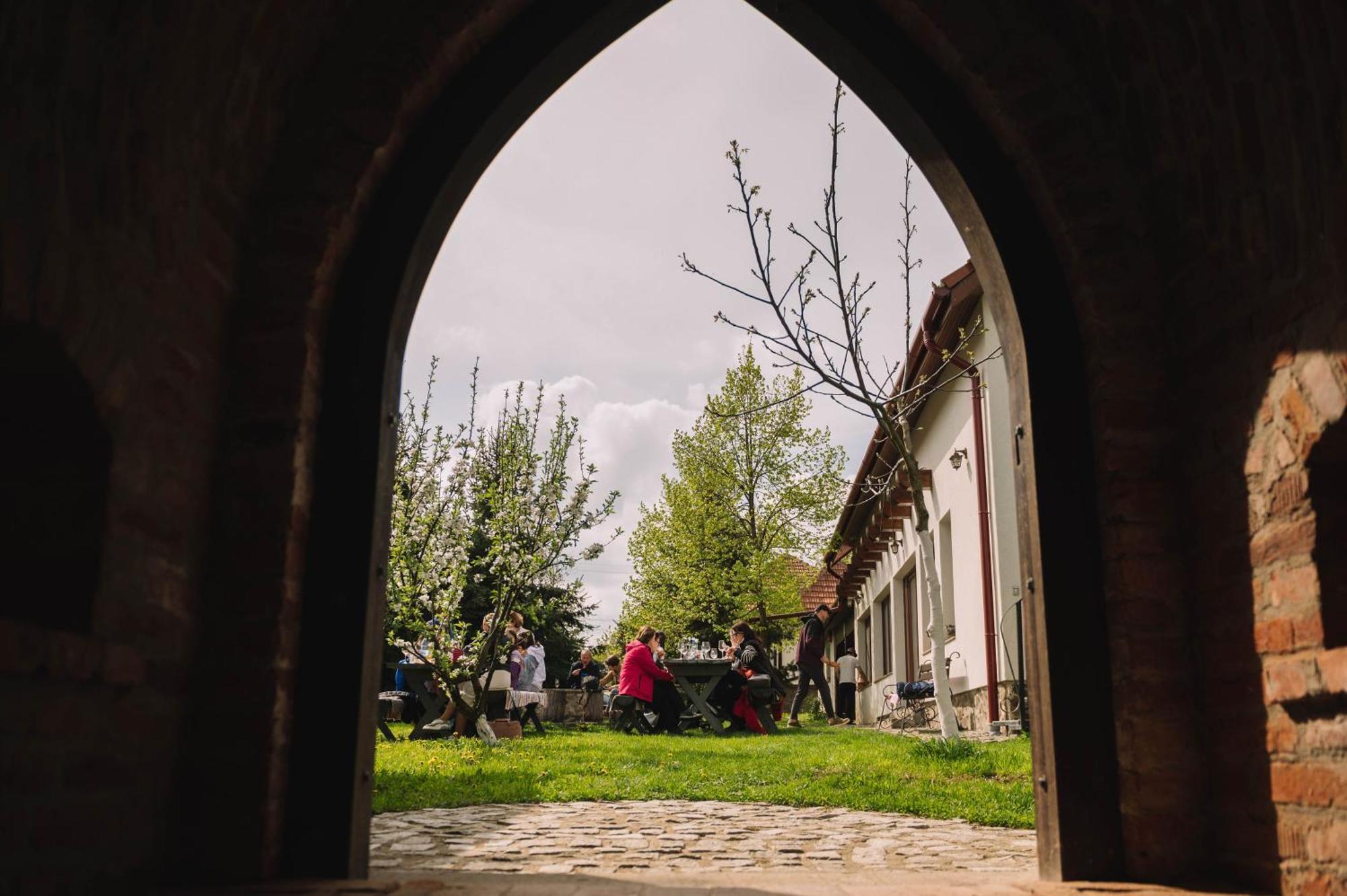 Вілла Casa Vatra Sinteului - Cu Sala De Evenimente De Capacitate Mare - Se Inchiriaza Integral Socet Екстер'єр фото